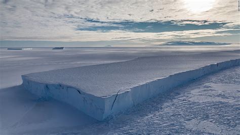 Antarctic Sea Ice Reaches Record Low And Is Still Declining
