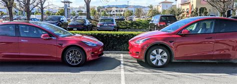 Tesla Model Y Vs Tesla Model 3 — Head To Head Photo Shows Their Size