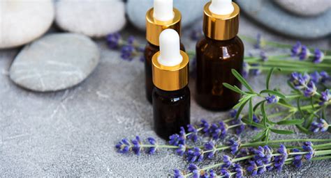 5 Best Essential Oils For Quenching Your Skin Lastobject
