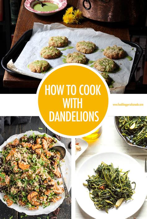 How To Cook With Dandelions Food Bloggers Of Canada