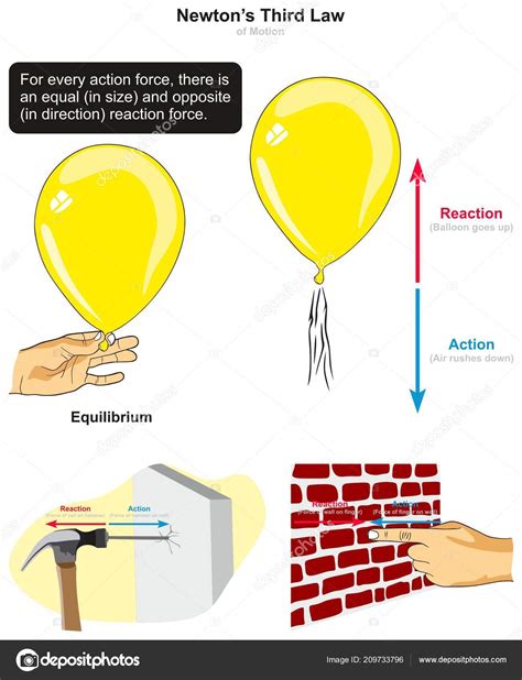 Third Law Motion Infographic Diagram Examples Stock Vector