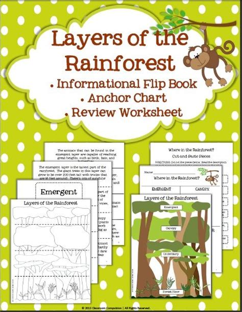 Rainforest Biomehabitat Layers Flip Book Anchor Chart And Worksheet