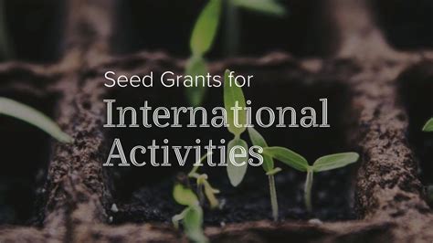 2022 Seed Grants For International Activities Support Innovative