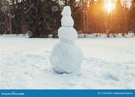 Snowman In The Park Stock Photo Image Of Carrot Cold 111916106