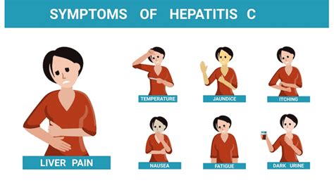 Hepatitis C Transmission Symptoms Treatment And Test For Hcv