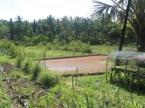 62,961.40 m2 for o more. Agricultural Land for sale in Guinayangan, Quezon