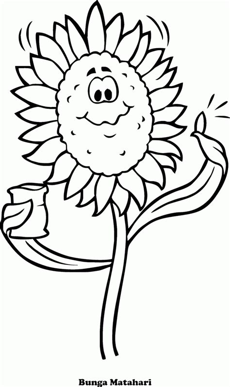 Bunga Matahari Kartun Hitam Putih Mewarnai Gambar Sketsa Bunga Images