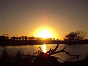 A, Beautiful, Bushveld, Evening, 5, Photo, U0026, Image