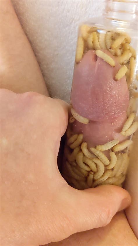 Maggots On Cock Part 2