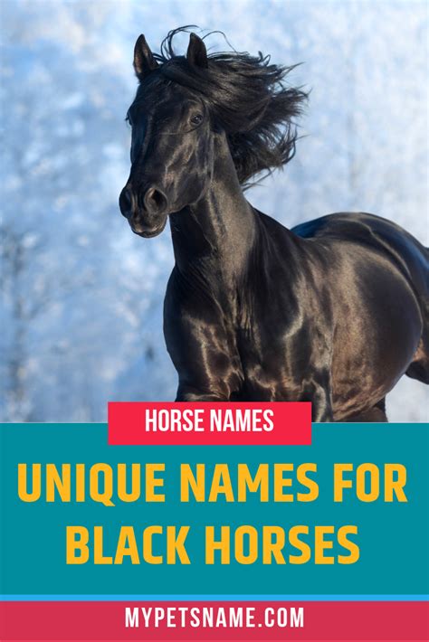 While Names In Our List Of Unique Names For Black Horse May Not Be The