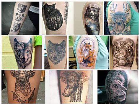 Https://techalive.net/tattoo/animals With Designs In Them Tattoo