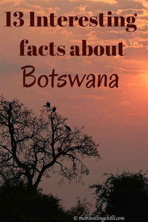 13 Interesting Facts About Botswana The Travelling Chilli Africa Destinations Travel