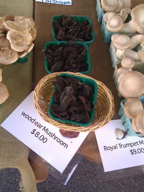 Mushrooms Are Magic And Mothers Day At The Vienna Farmers Market
