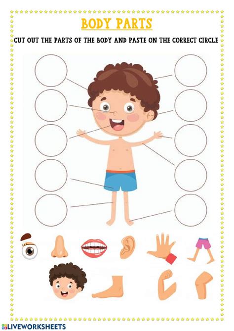 Body Parts Online Worksheet For Kindergarten