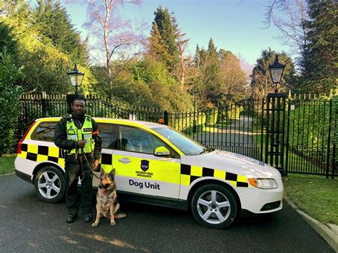 Security Dogs Patrol London Security Risk Specialists
