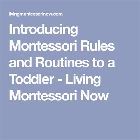 Introducing Montessori Rules And Routines To A Toddler Montessori