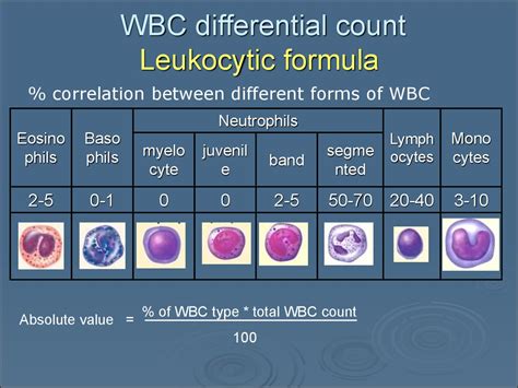 Wbc Pathology Subject 11 Online Presentation