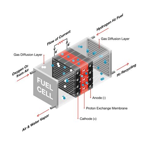 Hydrogen Fuel Cell Coderinfo