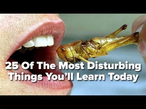 25 of the most disturbing things you ll learn today