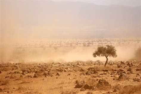 Dusty Plains During A Drought Stock Photo Download Image Now Istock