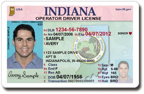 Indiana Drivers License Template Lasopawisdom