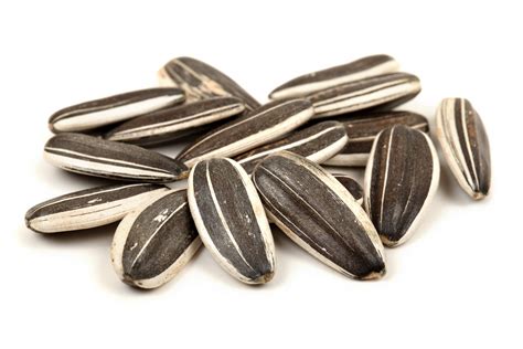 Roasted Unsalted Sunflower Seeds In Shell Health Benefits Piping