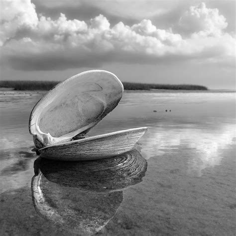 Black And White Beach Photos For Sale Dapixara Select