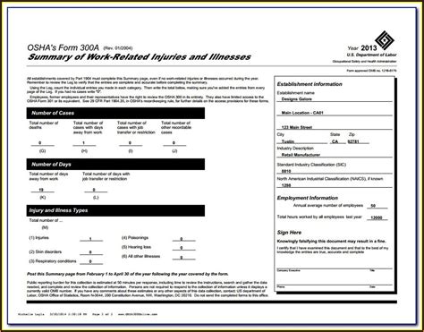 Osha S Fillable 300a Form Rev 01 2004 Printable Forms Free Online