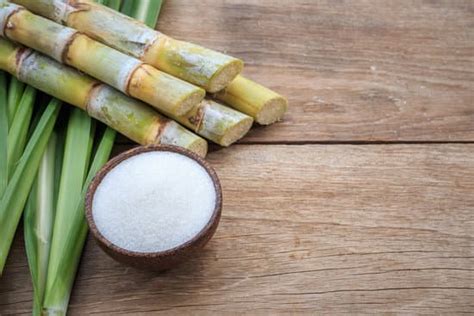 Jamaica Sugar Production Set To Fall 20