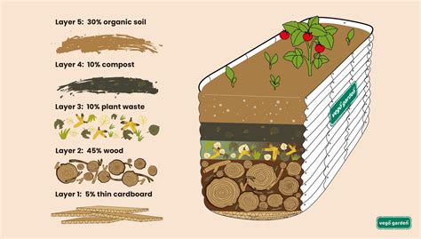 How To Fill Raised Garden Bed With The Best Soil Layer For Better Yield