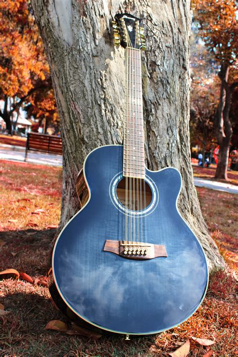 Free Images Tree Fall Acoustic Guitar Autumn Park Blue Musical