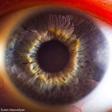22 Foto Close Up Pupil Mata Menggunakan Mikroskop Yang Terlihat Unik