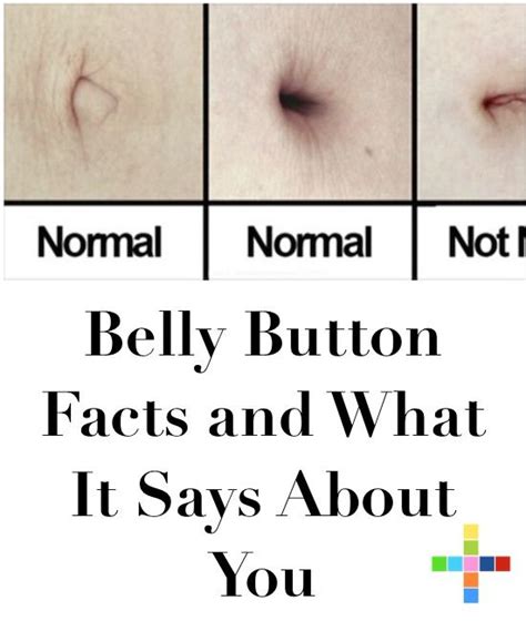 Wholesale belly button rings and navel piercing are second in popularity only to ear piercings. Belly Button Facts and What It Says About You | Belly button hernia, Belly button, Belly