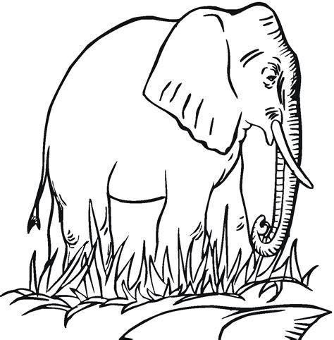 Free Printable Elephant Coloring Pages For Kids Coloring Wallpapers Download Free Images Wallpaper [coloring654.blogspot.com]