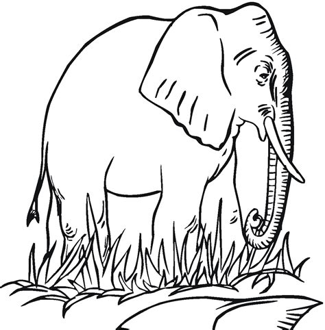 Download free realistic coloring pages for your kids, download animal realistic coloring pages, download. Free Printable Elephant Coloring Pages For Kids