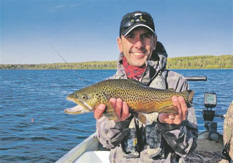 Tiger Trout Coming To Alberta Fishing Ponds The Western Producer