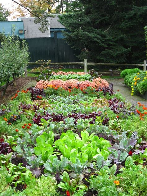17 Best Images About Edible Landscaping Ideas On Pinterest