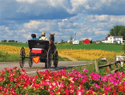 Įmonės yoder floor design veiklos vieta: Visiting Amish Country in 2020 | Ohio's Amish Country