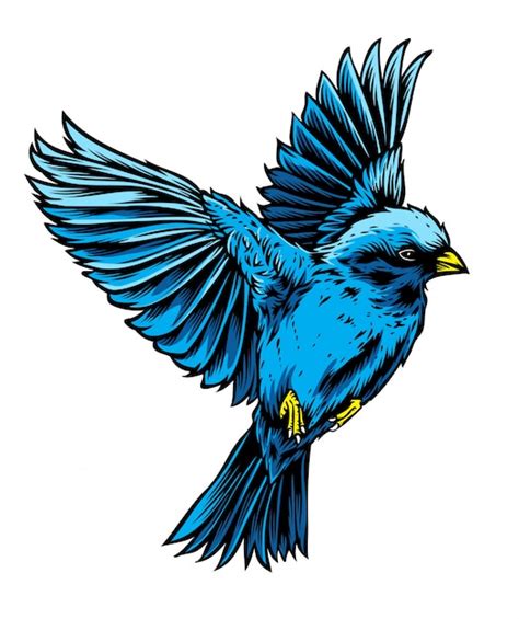 Premium Vector Blue Bird Vector