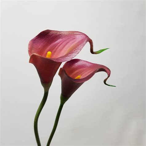 Artificial Calla Lily Rose Pink 30cm Desflora