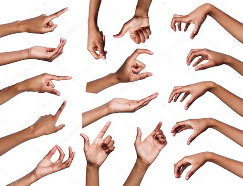 Set Of Various Hand Gestures Isolated On White — Stock Photo © Milkos
