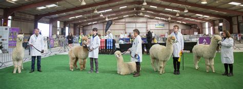 Competing At Spring Live South Of England Agricultural Society