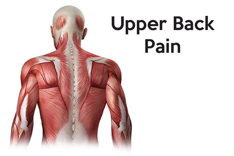 If your pain is interfering with your daily activities, such as getting in and out of bed, taking a shower or tying your shoelaces, this may be a sign it is time to seek help. Upper Back Braces | Supports for Upper Back Pain & Posture