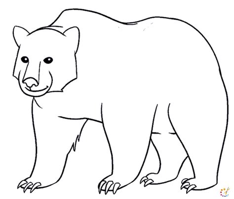 How To Draw A Bear Step By Step For Kids And Beginners