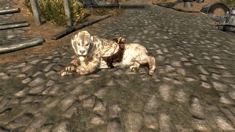 Snowy Sabre Cat Courier Replacer Le At Skyrim Nexus Mods And Community