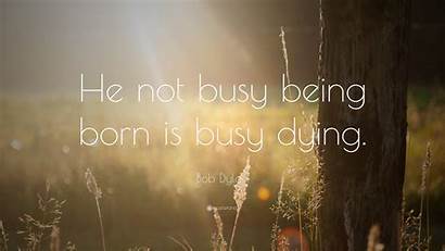 Busy Being Born He Dying Dylan Bob