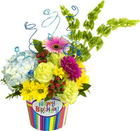 Vector Library Library Birthday Transparent Flower Happy
