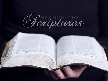Scriptures Bible Christian Open Ye Testify Think