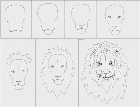 How To Draw A Lion Step By Step Lion Drawing Lion Ske
