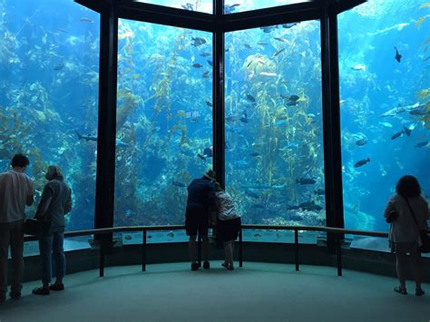 The Worlds Most Spectacular Aquariums